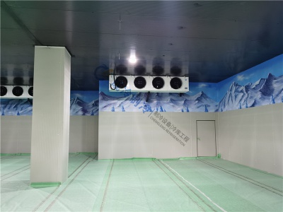 南部縣威尼斯冰雪館冷庫